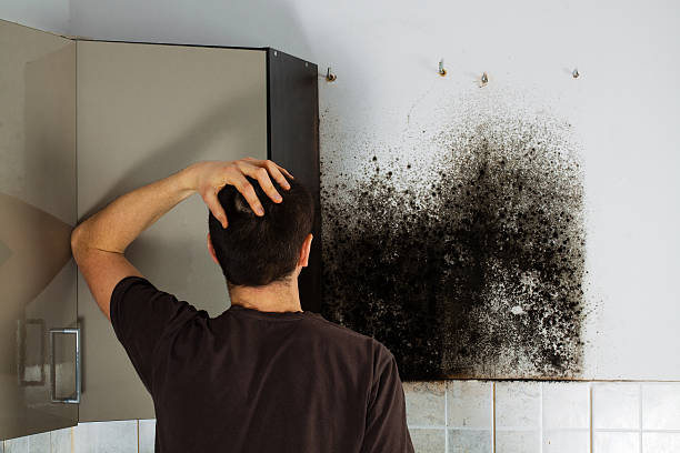 Best Professional Mold Removal  in Porterdale, GA